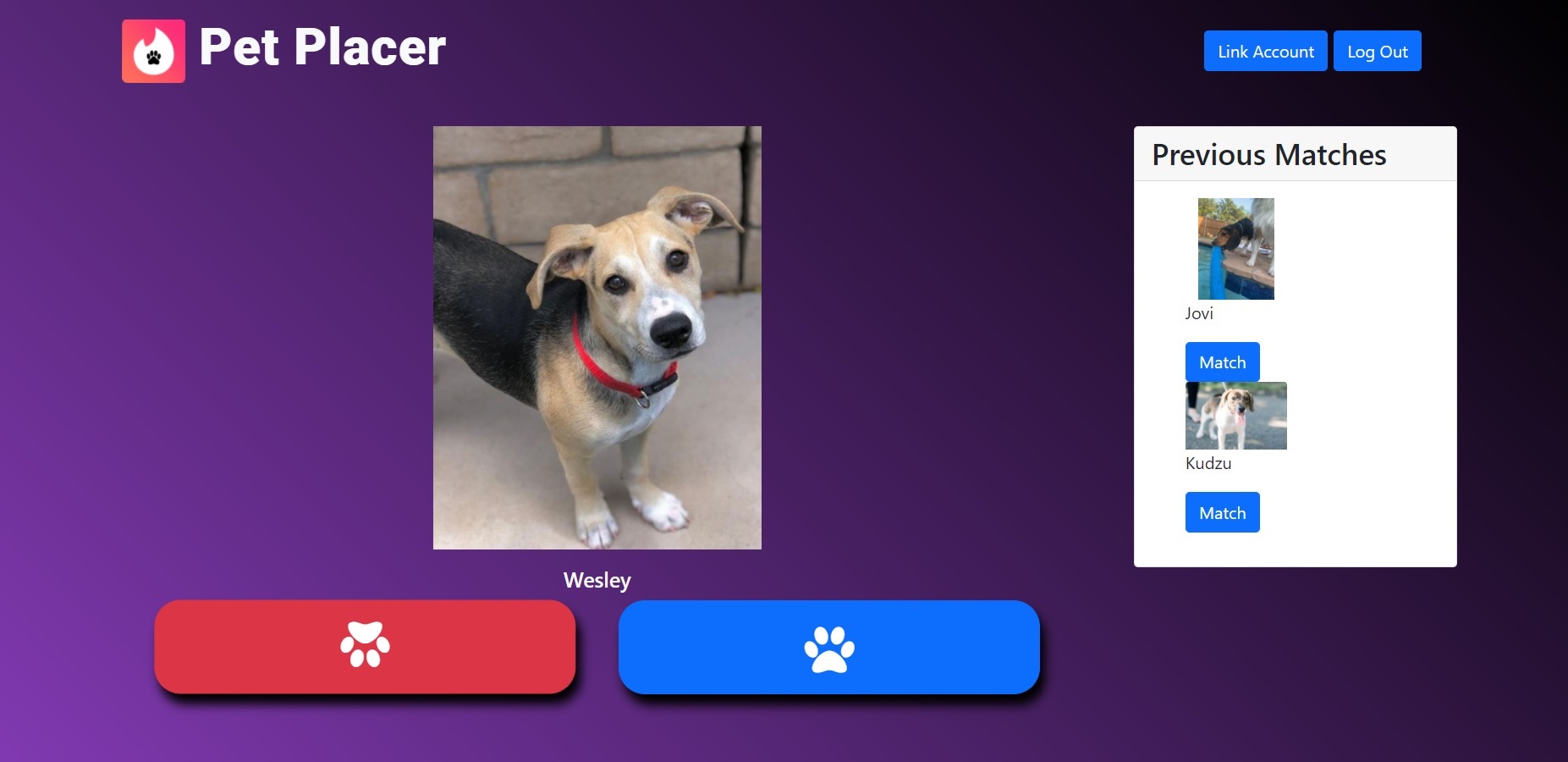 screenshot of Pet Placer project